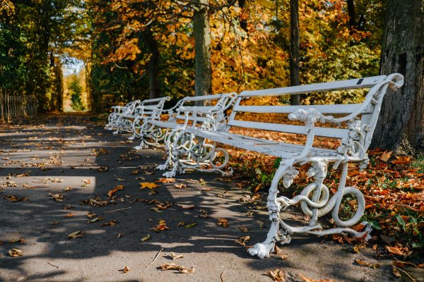 metal bench